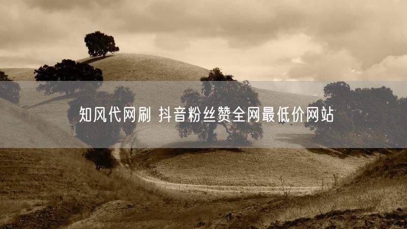 知风代网刷 抖音粉丝赞全网最低价网站