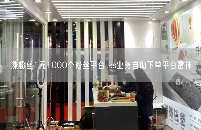 涨粉丝1元1000个粉丝平台 ks业务自助下单平台雷神