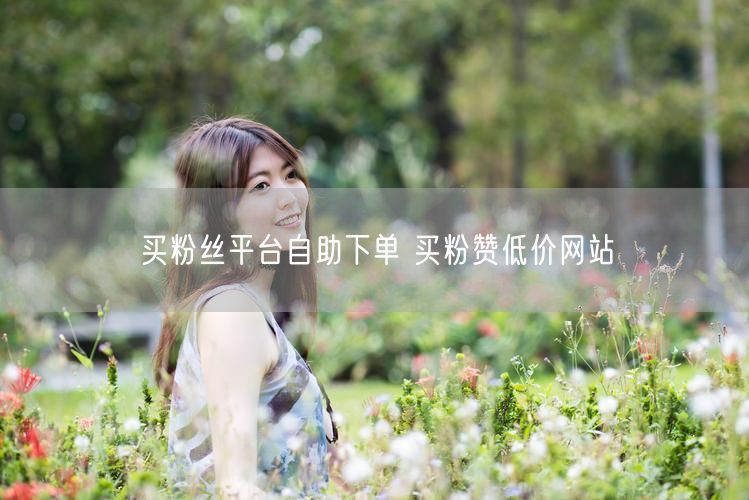 买粉丝平台自助下单 买粉赞低价网站