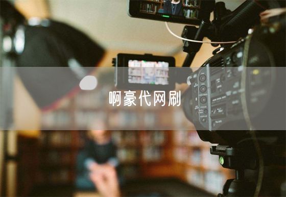 啊豪代网刷