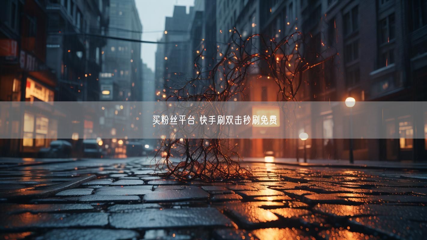 买粉丝平台 快手刷双击秒刷免费