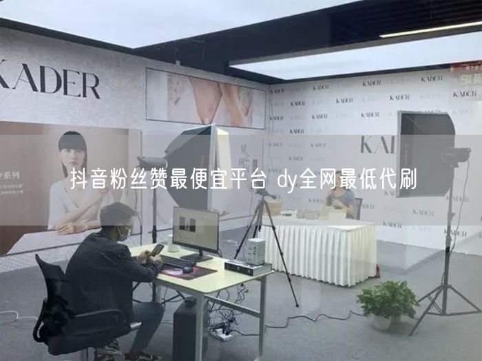 抖音粉丝赞最便宜平台 dy全网最低代刷