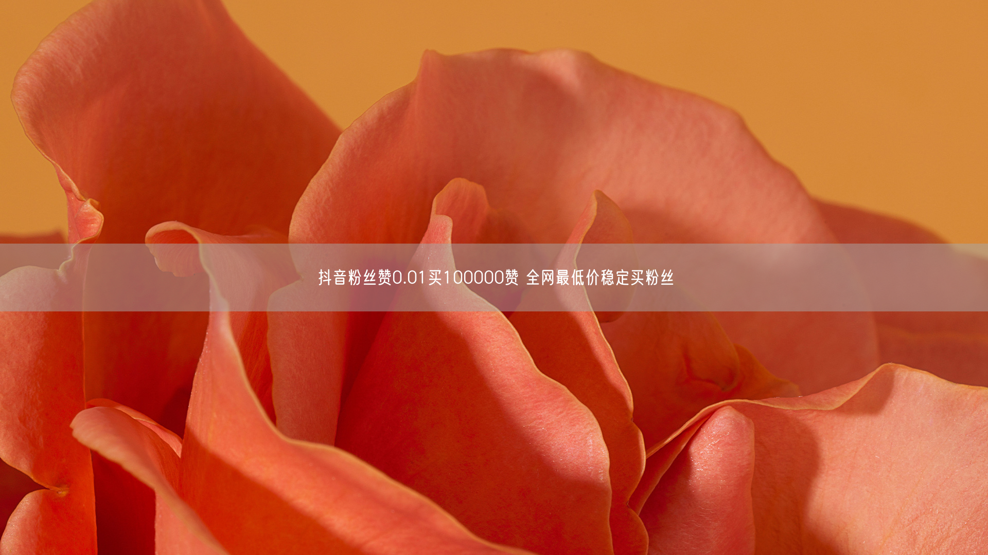 抖音粉丝赞0.01买100000赞 全网最低价稳定买粉丝