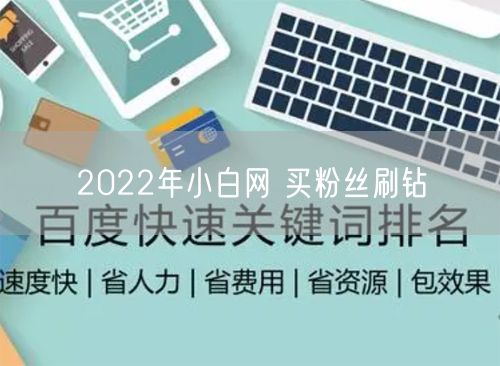 2022年小白网 买粉丝刷钻