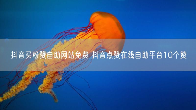 抖音买粉赞自助网站免费 抖音点赞在线自助平台10个赞