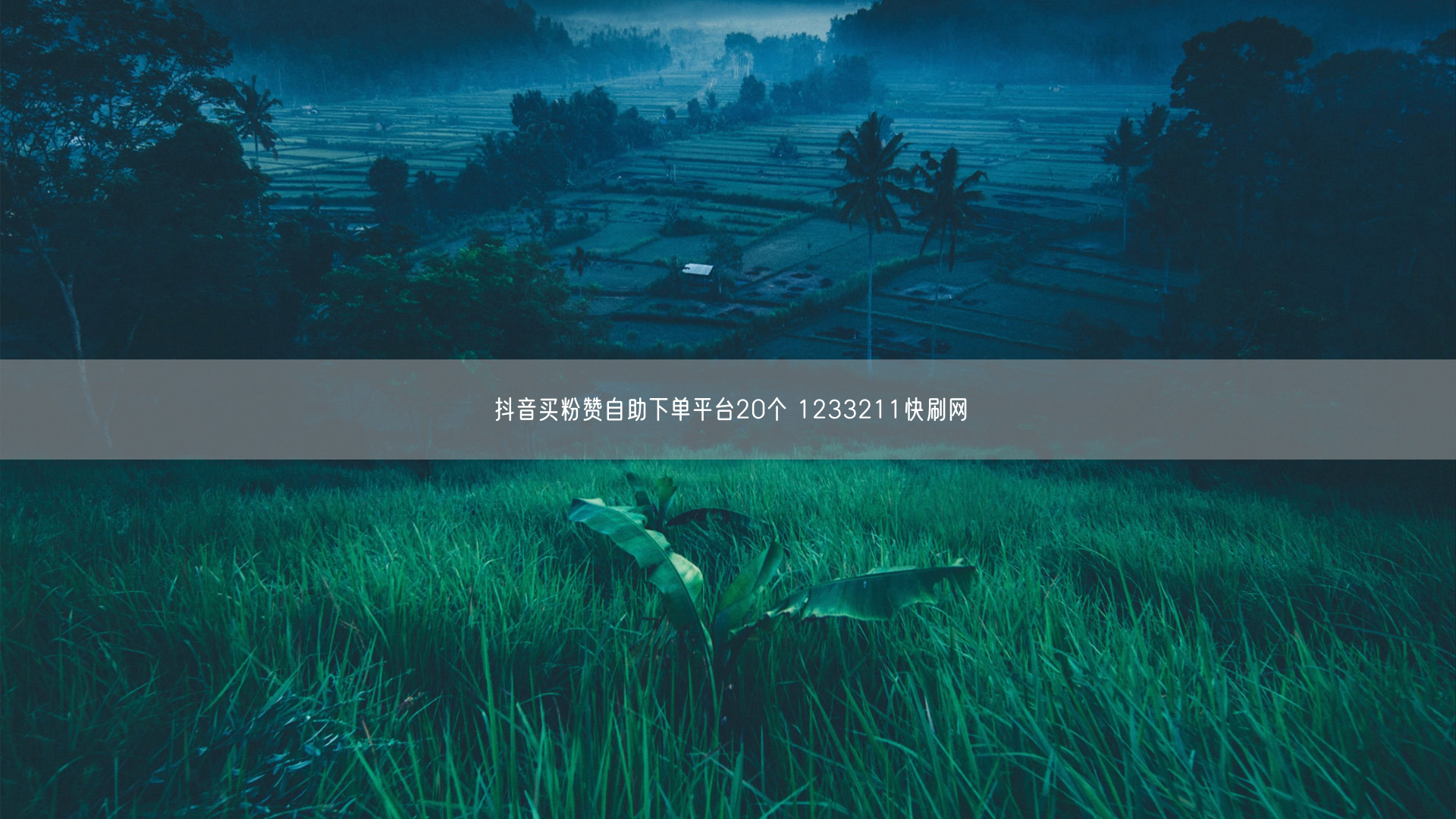 抖音买粉赞自助下单平台20个 1233211快刷网