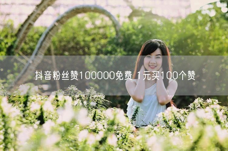 抖音粉丝赞100000免费 1元买100个赞