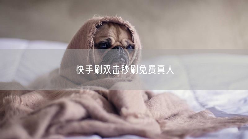 快手刷双击秒刷免费真人