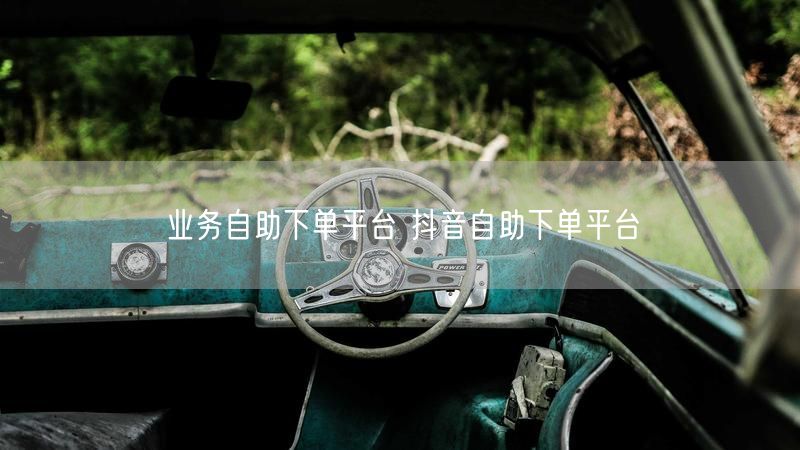 业务自助下单平台 抖音自助下单平台