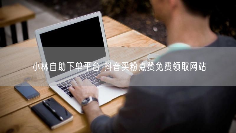 小林自助下单平台 抖音买粉点赞免费领取网站