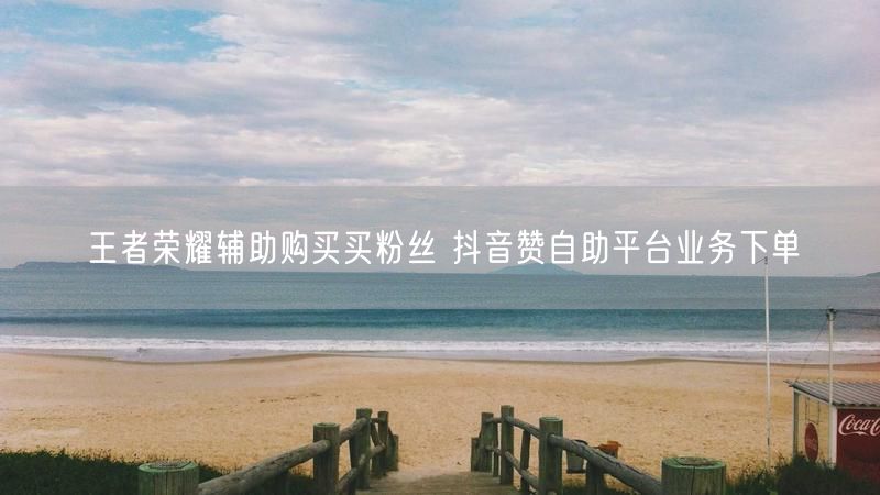 王者荣耀辅助购买买粉丝 抖音赞自助平台业务下单