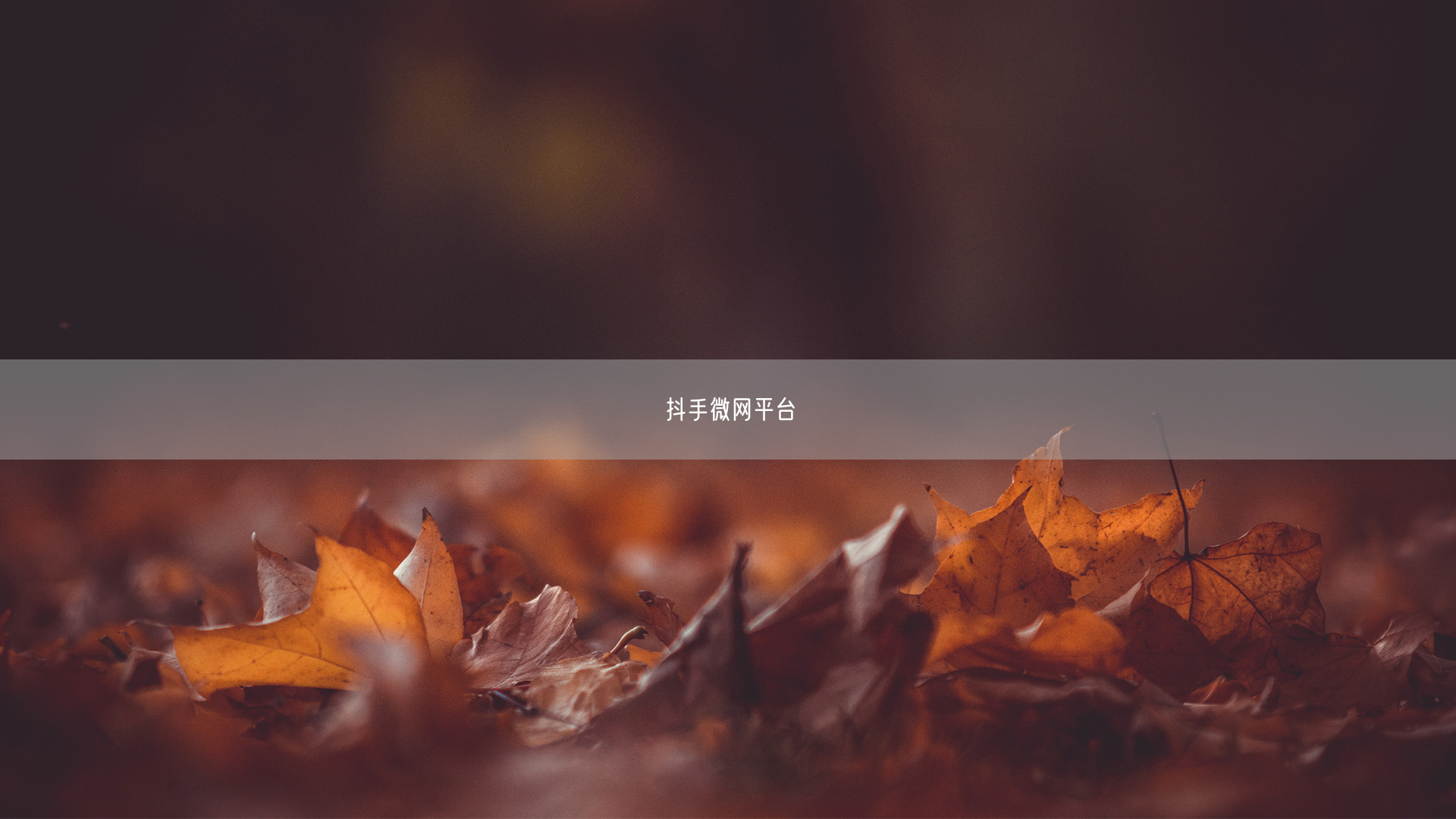 抖手微网平台