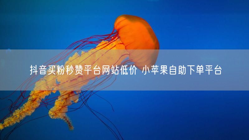 抖音买粉秒赞平台网站低价 小苹果自助下单平台