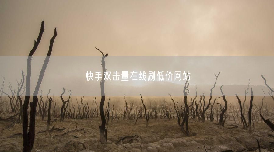快手双击量在线刷低价网站