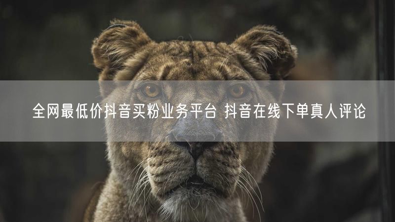 全网最低价抖音买粉业务平台 抖音在线下单真人评论