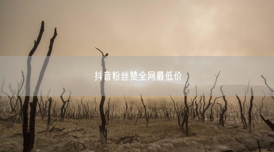 抖音粉丝赞全网最低价