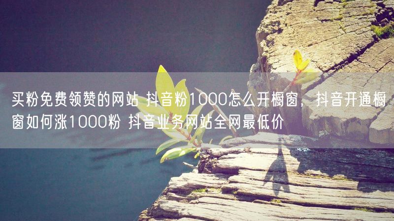 买粉免费领赞的网站 抖音粉1000怎么开橱窗，抖音开通橱窗如何涨1000粉 抖音业务网站全网最低价