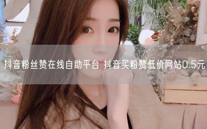 抖音粉丝赞在线自助平台 抖音买粉赞低价网站0.5元