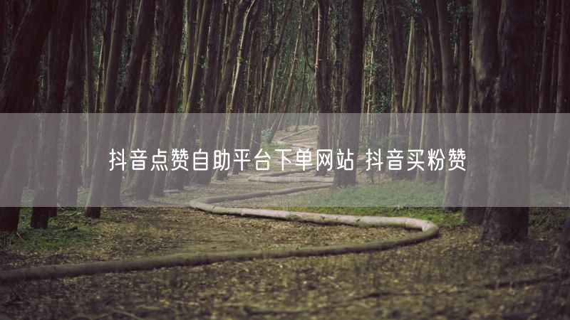 抖音点赞自助平台下单网站 抖音买粉赞