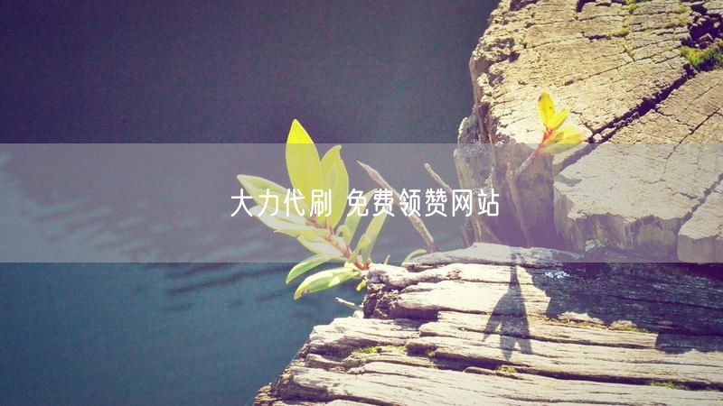 大力代刷 免费领赞网站