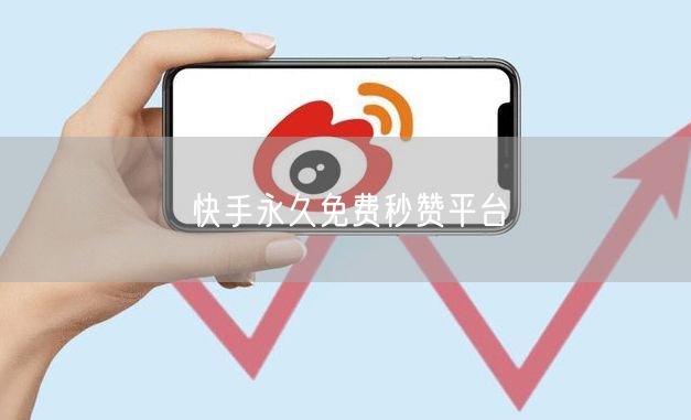 快手永久免费秒赞平台