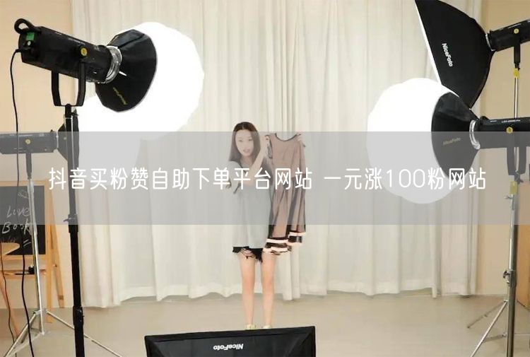 抖音买粉赞自助下单平台网站 一元涨100粉网站