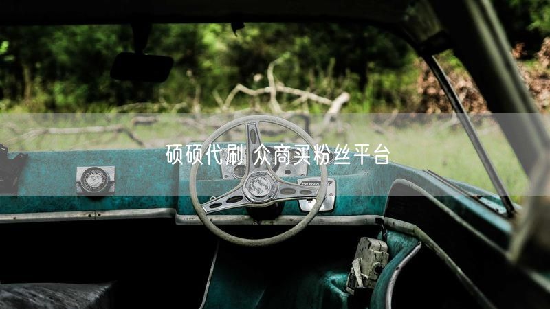 硕硕代刷 众商买粉丝平台