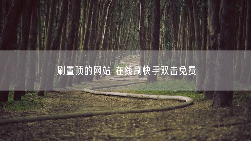 刷置顶的网站 在线刷快手双击免费