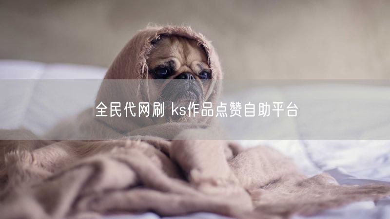 全民代网刷 ks作品点赞自助平台