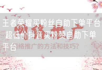 王者荣耀买粉丝自助下单平台 超低价抖音买粉赞自助下单平台