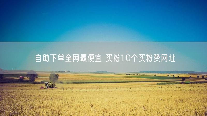 自助下单全网最便宜 买粉10个买粉赞网址