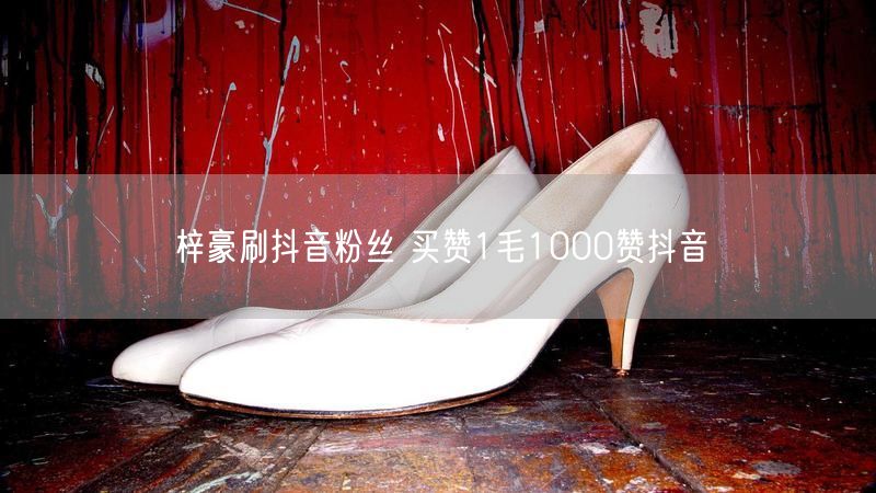 梓豪刷抖音粉丝 买赞1毛1000赞抖音