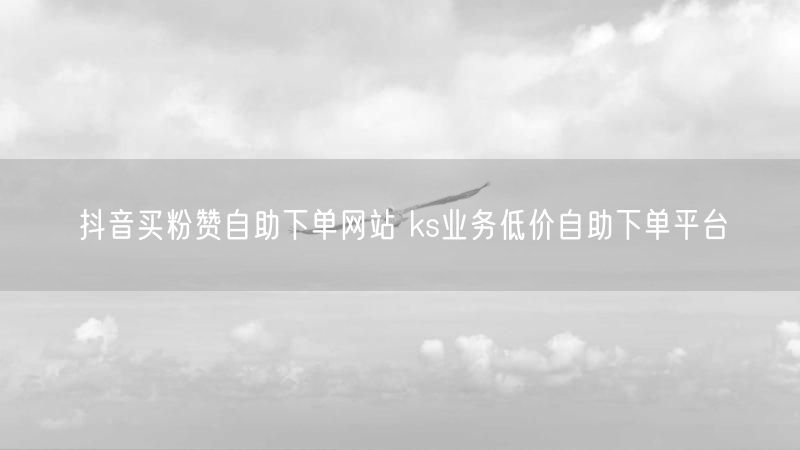 抖音买粉赞自助下单网站 ks业务低价自助下单平台