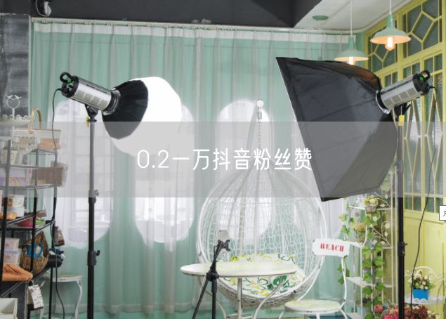 0.2一万抖音粉丝赞