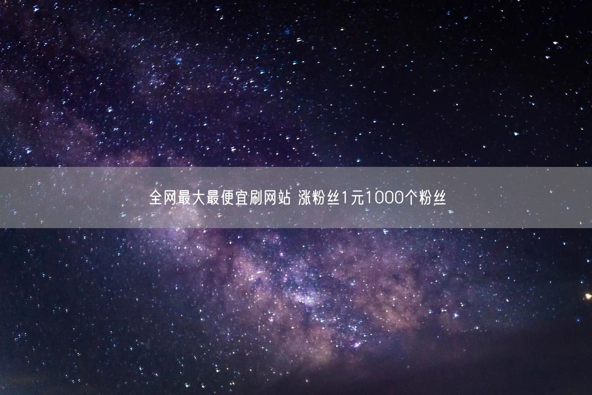 全网最大最便宜刷网站 涨粉丝1元1000个粉丝