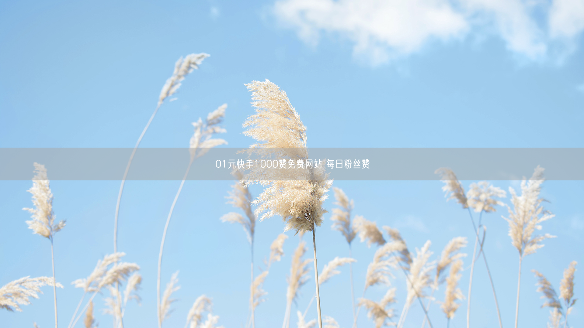 01元快手1000赞免费网站 每日粉丝赞