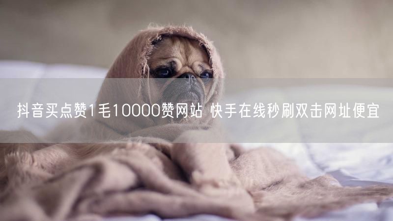 抖音买点赞1毛10000赞网站 快手在线秒刷双击网址便宜
