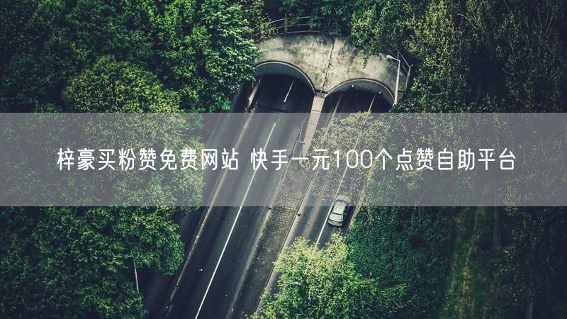 梓豪买粉赞免费网站 快手一元100个点赞自助平台
