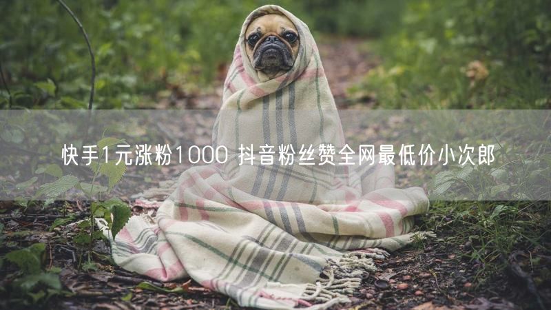 快手1元涨粉1000 抖音粉丝赞全网最低价小次郎