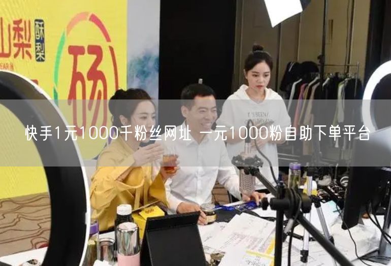 快手1元1000千粉丝网址 一元1000粉自助下单平台