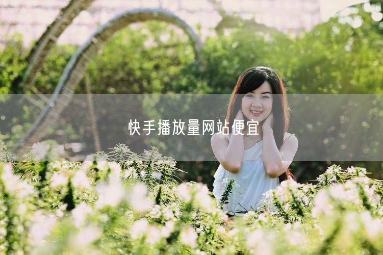 快手播放量网站便宜