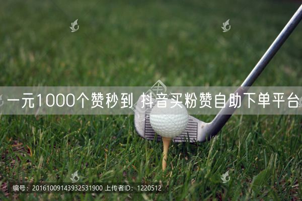 一元1000个赞秒到 抖音买粉赞自助下单平台