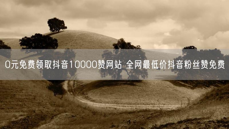 0元免费领取抖音10000赞网站 全网最低价抖音粉丝赞免费