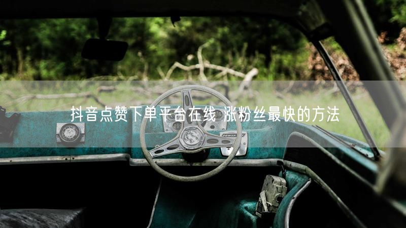 抖音点赞下单平台在线 涨粉丝最快的方法