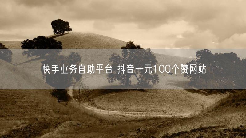 快手业务自助平台 抖音一元100个赞网站