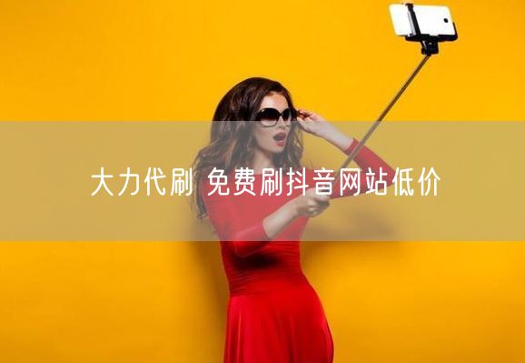 大力代刷 免费刷抖音网站低价