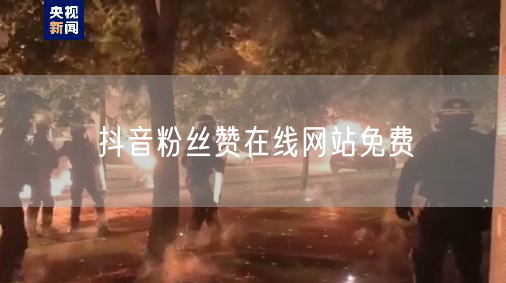 抖音粉丝赞在线网站免费