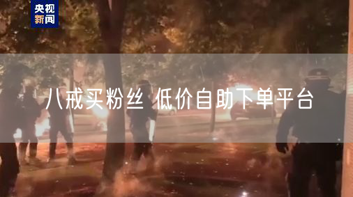 八戒买粉丝 低价自助下单平台
