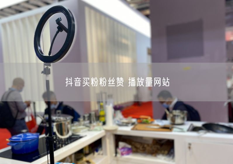 抖音买粉粉丝赞 播放量网站