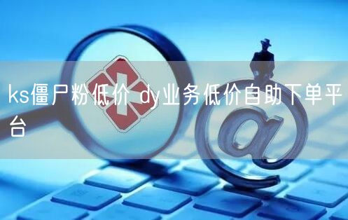 ks僵尸粉低价 dy业务低价自助下单平台